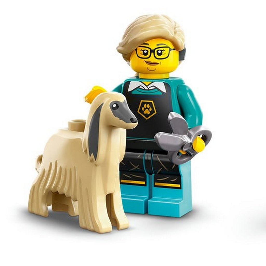 LEGO® 71045 Minifiguren Serie 25